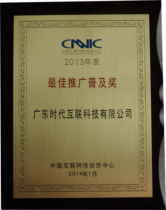2013年度CNNIC“最佳推广普及奖”